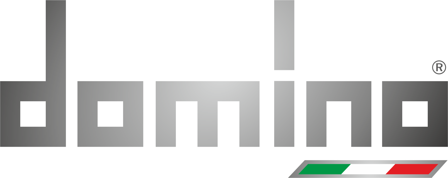 Domino