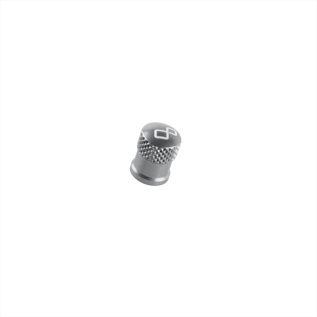 Wheels Valve caps - SILVER